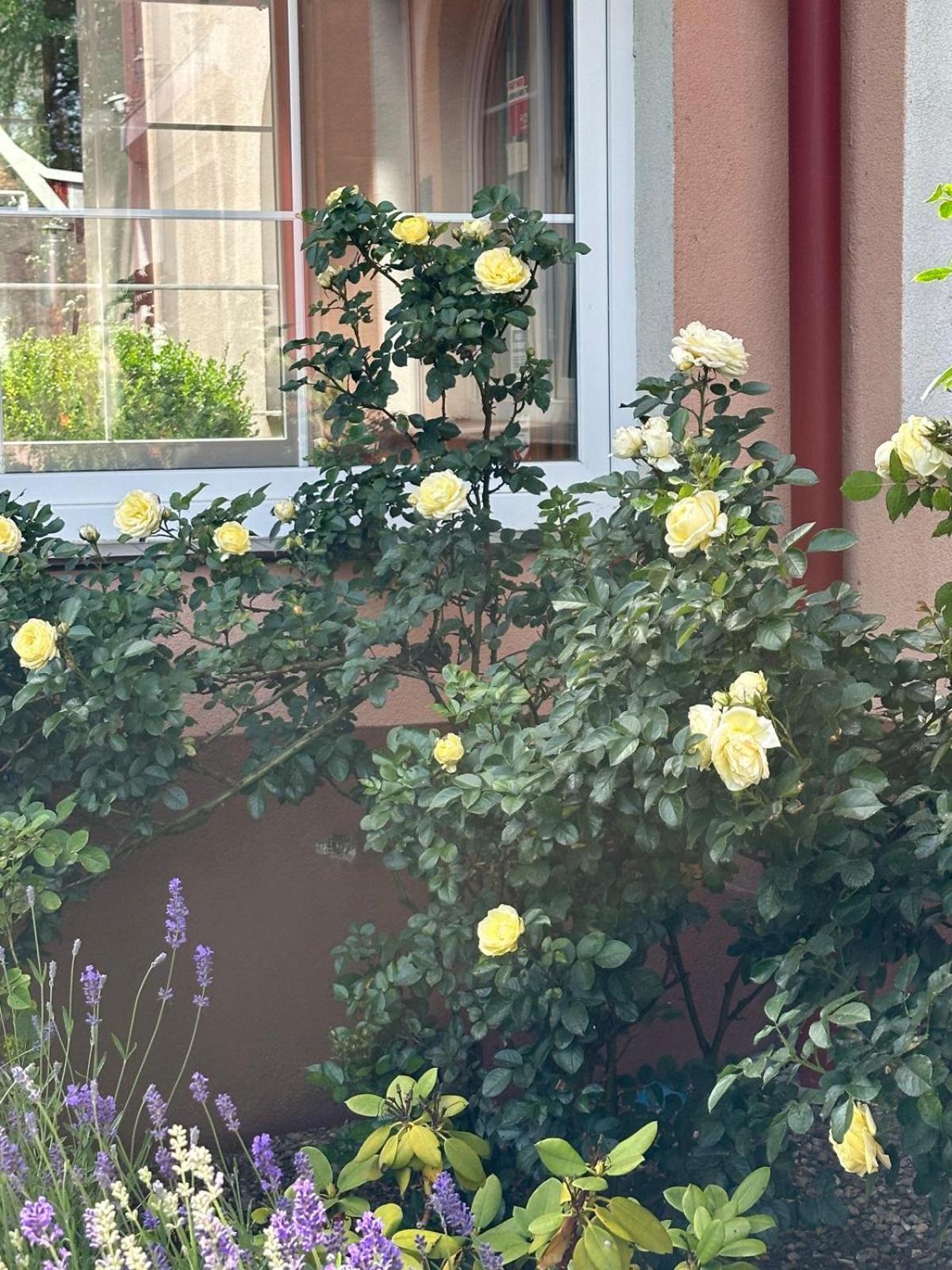 Karkoz Karpacz Bed & Breakfast Екстериор снимка