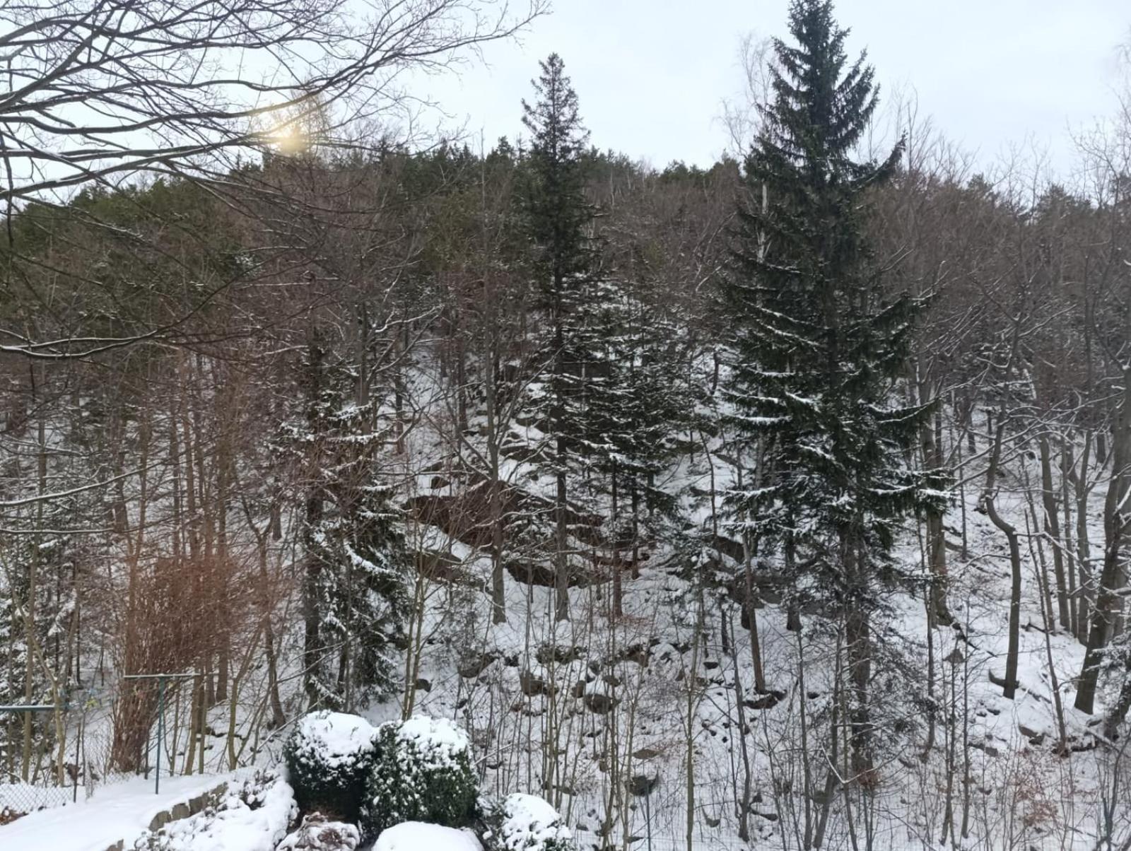 Karkoz Karpacz Bed & Breakfast Екстериор снимка